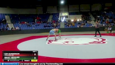 174 lbs Quarterfinal - Brody Hemauer, Wisconsin-Parkside vs Coy Gunderson, Augustana (SD)