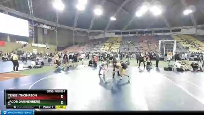 138 lbs Cons. Round 4 - Tensei Thompson, ID vs Jacob Dannenberg, WI