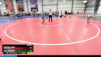 76 lbs Rd# 9- 2:15pm Saturday Final Pool - Carter Lirgg, Nauman Red vs Colt Brewer, VA Team Predator
