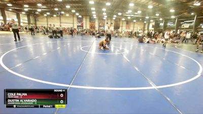 72 lbs Rd# 7- 10:45am Saturday Final Pool - Cole Palma, Team Ohio vs Dustin Alvarado, Aggression Legionaries