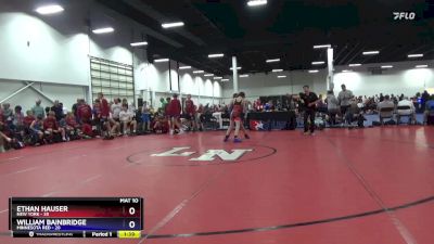 87 lbs Round 1 (8 Team) - Ethan Hauser, New York vs William Bainbridge, Minnesota Red