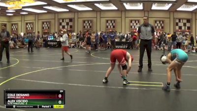 90 lbs Semis & 1st Wrestleback (8 Team) - Cole Desiano, Revival Gray vs ALEX VISCIDO, Elite Wrestling