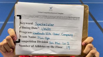 Woodlands Elite Mini Ops - Woodlands Elite - OR - Mini Ops [L1 Mini] 2021 ATC International Virtual Championship