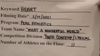 Peak Athletics [Youth - Contemporary/Lyrical] 2021 NCA & NDA Virtual February Championship