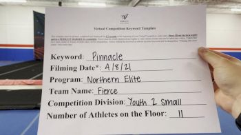 Northern Elite - Fierce [L2 Youth - Small] 2021 The Regional Summit Virtual Championships