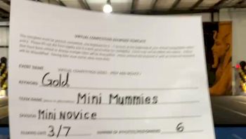 Pyramid Athletics [L1 Mini - Novice] 2021 Varsity Virtual Competition Series - Prep & Novice I