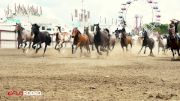 The Wild West Of '36 Lives On At The Ponoka Stampede