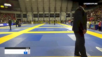 MADISON VAN DYKE vs NYCOLLE CALHEIROS 2019 Pan Kids Jiu-Jitsu IBJJF Championship