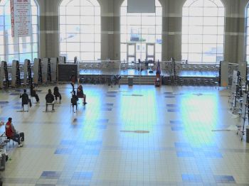 Cypress Lakes - Punk Rock 101