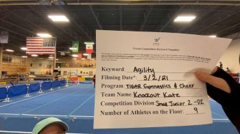 Tigar Gymnastics & Cheer - Knockout Katz [L2 Junior - D2 - Small - A] 2021 Varsity All Star Winter Virtual Competition Series: Event III