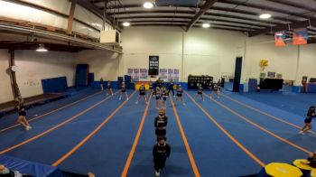 Victory Vipers - Black Diamonds [L6 Senior Coed Open - Small] 2021 Mid Atlantic Virtual Championship