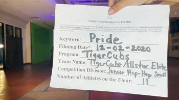 Tigercubs - TigerCubs All Star Elite [Junior - Hip Hop] 2020 WSF All Star Cheer & Dance Virtual Championship