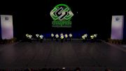 Starz Dance Academy - Elite All Starz [2021 Senior Small Pom Semis] 2021 The Dance Worlds