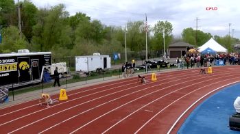 Women's 4x400m Relay, Final 2