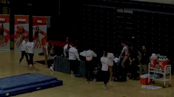 2019 Maryland at Illinois | Big Ten Women's Gymnastics