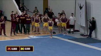Michigan vs Minnesota