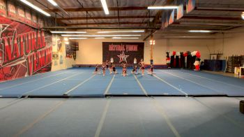 Natural Venom All Stars - MILITIA [L1 Mini] 2021 Varsity All Star Winter Virtual Competition Series: Event V