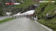 Suisse Highlights 7