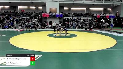 100 lbs Quarterfinal - Joangely Dejesus Lopez, Platt vs Abby Pallotto, Amity