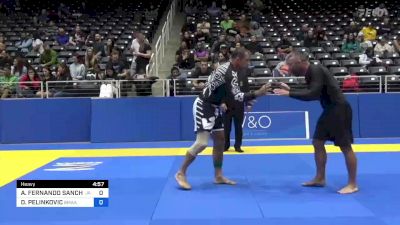 ANGEL FERNANDO SANCHEZ SORIANO vs DRGUT PELINKOVIC 2022 Pan IBJJF Jiu-Jitsu No-Gi Championship