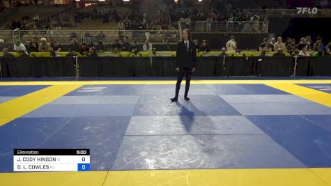 JOHN-DAVID CODY HINSON vs DAVID L. COWLES 2024 Pan Jiu Jitsu IBJJF Championship