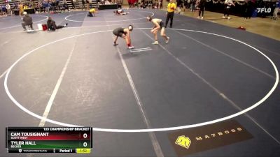 133 Championship Bracket Champ. Round 2 - Cam Tousignant, Scott West vs Tyler Hall, Becker