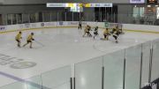 Replay: Home - 2024 Michigan-Dearborn vs Adrian College | Mar 15 @ 1 PM