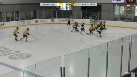 Replay: Home - 2024 Michigan-Dearborn vs Adrian College | Mar 15 @ 1 PM
