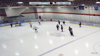 Replay: Home - 2024 ISA vs RHA Kelowna Red | Jan 11 @ 4 PM