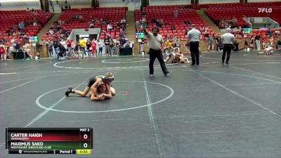 68 lbs Semifinal - Carter Haigh, Wadsworth vs Maximus Sako, Westshore Wrestling Club