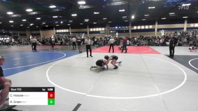 85 lbs Semifinal - Cameron Hoezee, Salem Elite vs Robert Green, Silverback WC