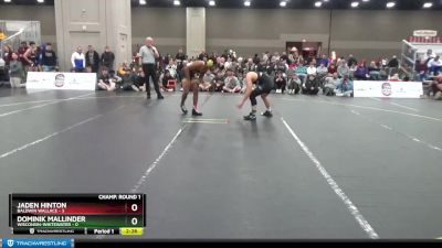 133 lbs Round 1 (16 Team) - Jaden Hinton, Baldwin Wallace vs Dominik Mallinder, Wisconsin-Whitewater