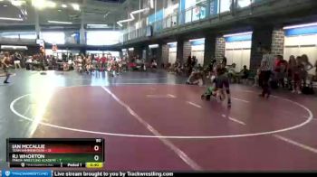 80 lbs Round 3 (10 Team) - Rj Whorton, Panda Wrestling Academy vs Ian McCallie, Team Hammerhouse