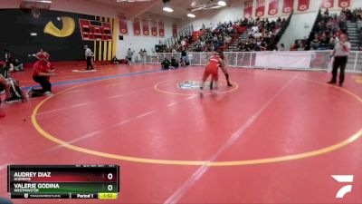 137 lbs Quarterfinal - Audrey Diaz, Hueneme vs Valerie Godina, Westminster