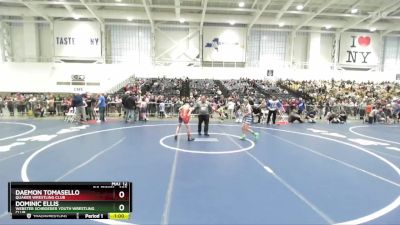 102 lbs Champ. Round 2 - Dominic Ellis, Webster Schroeder Youth Wrestling Club vs Daemon Tomasello, Quaker Wrestling Club