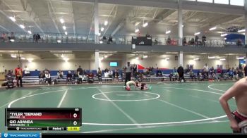 65 lbs Round 1 (8 Team) - *Tyler *Demand, Graham vs Gio Aranda, Perrysburg