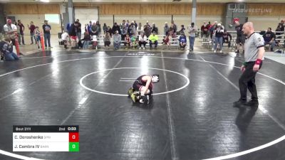 M 66 lbs Final - Cameron Doroshenko, Springbrook vs John Cambra IV, Barnesville