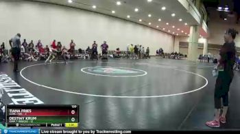 120 lbs Round 4 (10 Team) - Destiny Krum, Iowa T-Wrecks vs Tiana Fries, CLWC / IWC