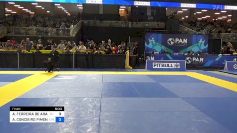 ADRIANO FERREIRA DE ARAUJO E SIL vs ALEXANDRE CONCIEIRO PIMENTEL 2024 Pan Jiu Jitsu IBJJF Championship