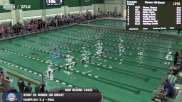 Replay: Landmark Swimming & Diving Championship | Feb 17 @ 6 PM