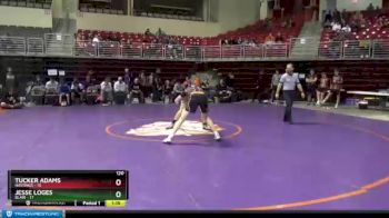 120 lbs Round 3 (3 Team) - Tucker Adams, Hastings vs Jesse Loges, Blair