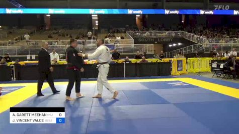 ASHLEY GARETT MEEHAN vs JASON VINCENT VALDEZ 2024 Pan Jiu Jitsu IBJJF Championship