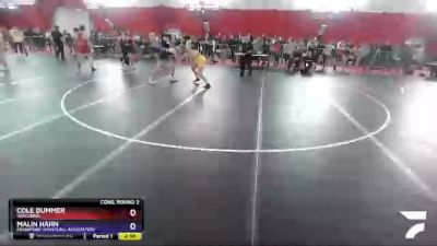 138 lbs Cons. Round 2 - Cole Dummer, Wisconsin vs Malin Hahn, Fennimore Wrestling Association