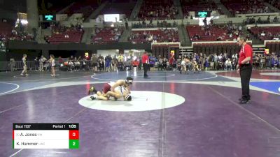 137 lbs Semifinal - Adin Jones, NORTHEAST MT vs Kalab Hammer, Lakeland Wrestling Club