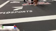 Pedro Pereira vs Davi Lino 2024 ADCC Sao Paulo Open
