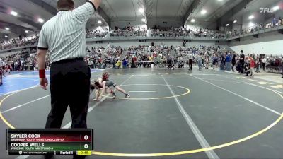 45 lbs Champ. Round 2 - Cooper Wells, Windsor Youth Wrestling-A vs Skyler Cook, Savannah Youth Wrestling Club-AA