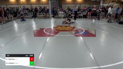 125 lbs Round Of 16 - Carlo Salinas, Plains vs Noah Aubert, Camp Hill