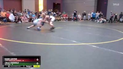 101 lbs Quarterfinal - Kade Lester, Lions Wrestling Academy vs Cruz Enderle, Outlaws