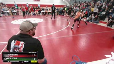 80-85 lbs Round 1 - Allison Banks, Wiggins Youth vs Carson Long, HRA