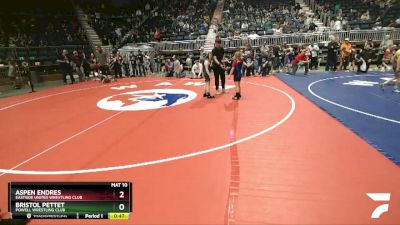 73 lbs Quarterfinal - Bristol Pettet, Powell Wrestling Club vs Aspen Endres, Eastside United Wrestling Club